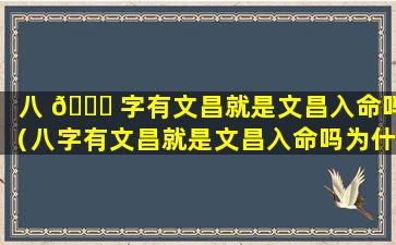 八 🍀 字有文昌就是文昌入命吗（八字有文昌就是文昌入命吗为什么）